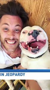 Man's selfie with rescue dog could see pet taken away