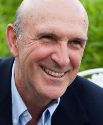 Building the Bridge As You Walk On It: A Guide for Leading Change  (Jossey-Bass Leadership Series): Quinn, Robert E.: 9780787971120:  Amazon.com: Books