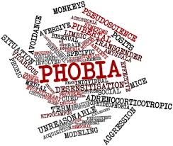 Image result for Specific Phobia