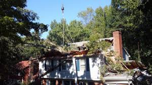 Best 15 Tree Trimming Removal Services In Bellefontaine Neighbors Mo Houzz