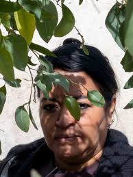 Women, many alone, crossing US-Mexico border in greater numbers