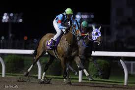 登録する ログイン facebook にログイン google にログイン apple にログイン. 7ocffbcxjsj1ym