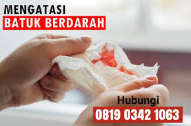 We did not find results for: Obat Paru Tbc Herbal De Nature Kumpulan Tumbuhan Atau Tanaman Obat Batuk Berdarah Infeksi Paru Paru Paling Ampuh