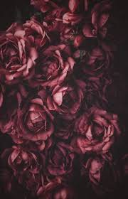 51 Ideas For Home Screen Wallpapers Iphone Flowers Flower Background Wallpaper Flower Background Iphone Flowers Photography