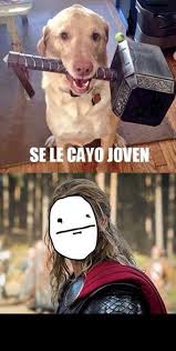 Marvel One Shots Bullyingzone Parte 2 Really Funny Memes Funny Memes Stupid Funny Memes