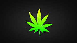 We did not find results for: Weed Hd Wallpapers Group 74