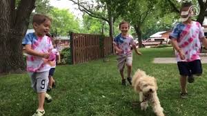 Maybe you would like to learn more about one of these? Pride Of America Camping Resort Youtube