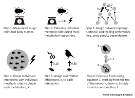 Energy Flux The Link Between Multitrophic Biodiversity And Ecosystem Functioning Trends In Ecology Evolution