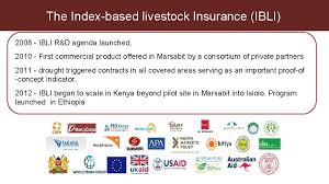 Liability insurance providers in the united states. Designing Indexbased Insurance For Livestock Francesco Fava International