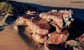 Résultat de recherche d'images pour "semsiyat dome"