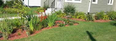 Take a good look at your yard: Rain Garden Natural Sponge Package Morning Sky Greenery