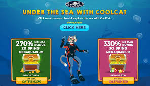 Cool Cat Casino No Rules Bonuses Nabble Casino Bingo Casino Cool Stuff Cool Cats