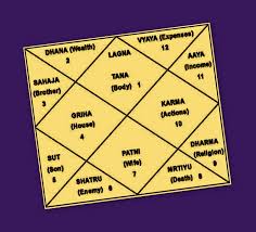 Vedic Astrological Remedies Effects Of 12 Astrological
