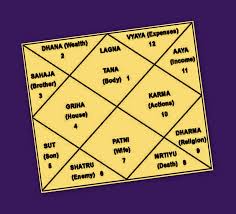 vedic astrological remedies effects of 12 astrological