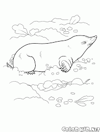 Showing 12 coloring pages related to the mole. Coloring Page Mole
