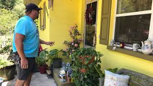 I drive further to get to publix. High Springs Officials Give 100 Winn Dixie Gift Cards To Residents Wgfl