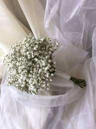 Check spelling or type a new query. Gypsophila Wedding Package