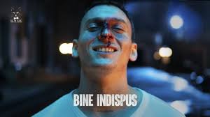 Cântăreața a reușit să cucerească publicul cu melodiile sale. The Motans Feat Irina Rimes Poem Official Video Youtube