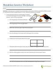 Snapdragons name blood type mother type a baby type b the mailman type o the butcher type ab the waiter type a the cable guy type b genetics: Mendelian Genetics Worksheet Pdf Mendelian Genetics Worksheet