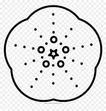 They can be found in all of the oceans worldwide. Sea Urchin Skeleton Coloring Page Sea Urchins Coloring Pages Hd Png Download Vhv