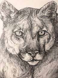 Pin On Bugs Bunny Drawing