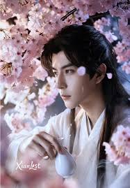 The Peach Blossoms Look Like A Memory