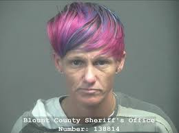 ANDERSON, CIARA MARIE Charges: THEFT (ALL OTHER) This information and more  is available https://apps.myocv.com/share/a95737804