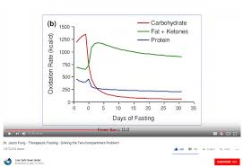 How To Become A Fat-Adapted Cyclist: Diet - We Love Cycling Magazine