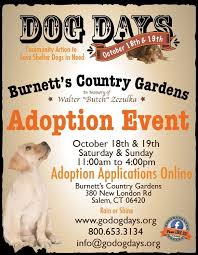 Don't put them next to a heating or air conditioning vent. Adopt A Puppy Or Dog Over 80 To Choose From New London Ct Patch