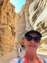 The Travel Agent Next Door/Carol Attrell, Independant Agency