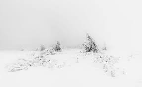 The best black and white landscapes have a strong range of tones. Hd Wallpaper Winter Fog White Snow Trees Aesthetic Seasons Nature Landscape Wallpaper Flare