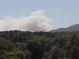 Εντοπίστηκε φυτεία με περίπου 800 δενδρύλλια κάνναβης. Fwtia Twra Ypo Meriko Elegxo Te8hke H Pyrkagia Sta Megara City View