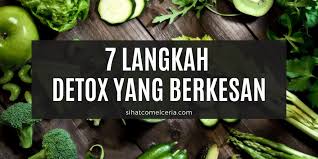 Jika kita yang berjiwa rapuh ni, pasti kita akan tergoda untuk beli jer apa sahaja supplement yang dijual tanpa tahu detailnya. 7 Langkah Detox Yang Berkesan Pengedar Shaklee Kedai Vitamin Bandar Baru Bangi