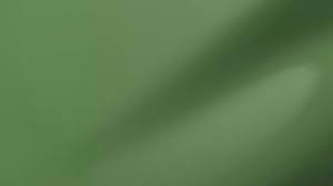 Image result for Arlo Green 2025 Porsche