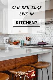 Bed Bugs In Kitchen Can Bed Bugs Live In The Kitchen Kitchen Bugs In The Kitchen Bed Bugs
