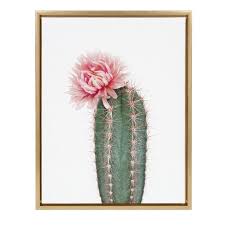 Cactus hat was reproduced on premium heavy stock paper which captures all of the vivid colors and details of the original. 18 X 24 Sylvie Pink Cactus Flower Framed Canvas By Amy Peterson Gold Kate And Laurel Target