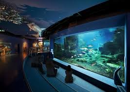 The 5 Best Istanbul Aquarium Istanbul Akvaryum Tours Tickets 2021 Viator
