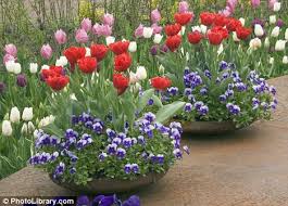 We did not find results for: The Brightest Bulbs It S Time To Start Planning For A Colourful Spring Daily Mail Online