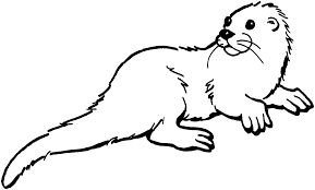 Otter Coloring Pages Free Otter Coloring Pages Davemelillo Com In 2020 Animal Coloring Pages Sea Animals Drawings Otters