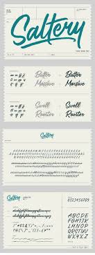 I don't particularly like my handwriting—neither did my third grade teacher. Saltery Brush Font 56549 Script Font Bundles Brush Font Brush Fonts Free Hand Fonts