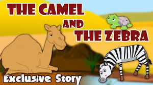 Once there was a camel he used to live in a jungle. The Camel And The Zebra Kids Story Short Stories For Kids