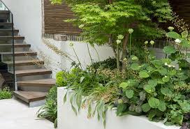 Lateral House Westbourne Park Emma Griffin Garden Design In 2020 Garden Design Rooftop Garden Garden Elements