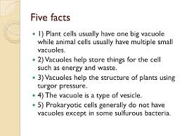In addition, one single prokaryotic cell is composed of bacteria and archaea. By Yosuke Mathew And Jenny Ppt Video Online Download