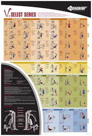 Exercise Chart Hoist Fitness