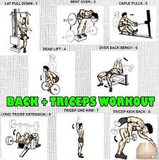 pin on triceps