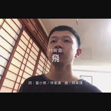 New practical chinese reader 2 lesson 20: Tiktok ä¸Šçš„ æž—å®¶è¬™æ¨™ç±¤å½±ç‰‡