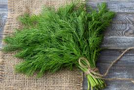 Tak terkecuali dalam masakan italia yang kerap menggunakan tiga daun andalannya, yaitu parsley, basil dan oregano. Herba Barat Terkenal Yang Jarang Digunakan Oleh Orang Malaysia Pasarhub Online Fresh Market