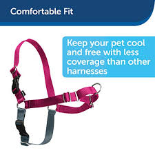 To fit the easy walk harness on your dog properly, fit and adjust the straps separately. Petsafe Easy Walk Dog Harness No Pull Dog Harness Royal Blue Navy Blue Small Pricepulse