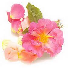Join our community of happy customers in flower supply near me. Fresh Edible Flowers Shop Herbs At H E B