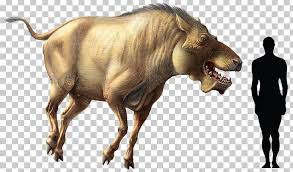 Tyrannosaurus Wild Boar Daeodon Carnivorous Animals Carnivore Png Clipart Animal Big Cats Bison Bull Carnivoran Free